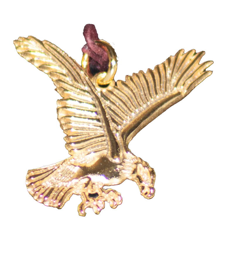 Jewelry - Eagle Charm